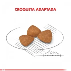 Sale Royal Canin Alimento Seco Perro Adulto X-Small Ageing 12+ 1Kg