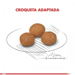 Royal Canin Alimento Seco Perro Adulto X-Small Adult 8+ 1Kg
