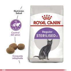 Sale Royal Canin Alimento Seco Gato Adulto Regular Sterilised
