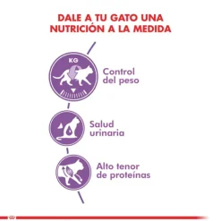 Sale Royal Canin Alimento Seco Gato Adulto Regular Sterilised