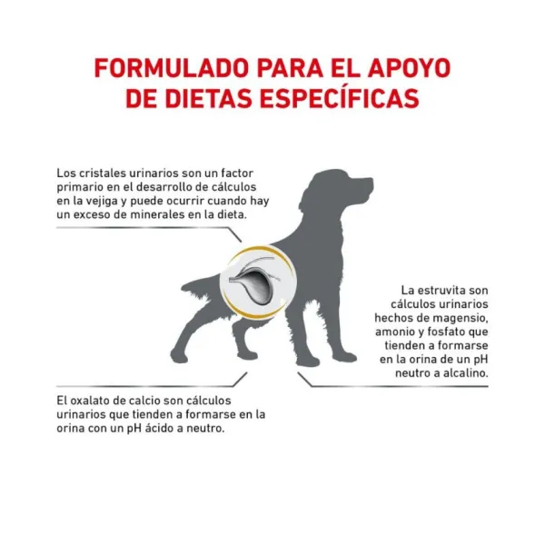 Discount Royal Canin Alimento Seco Perro Adulto Urinary S/O