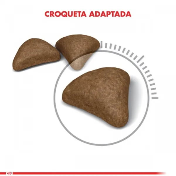 Outlet Royal Canin Alimento Seco Gato Adulto Intense Hairball 1.5 Kg .