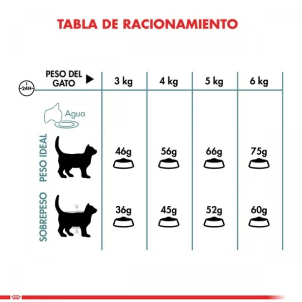 Outlet Royal Canin Alimento Seco Gato Adulto Intense Hairball 1.5 Kg .