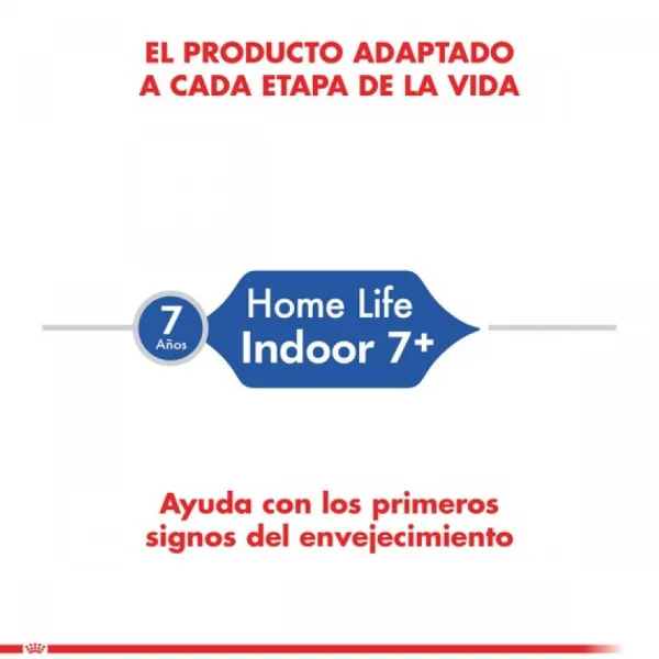 Online Royal Canin Alimento Seco Gato Adulto Indoor +7