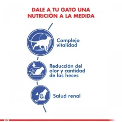Online Royal Canin Alimento Seco Gato Adulto Indoor +7