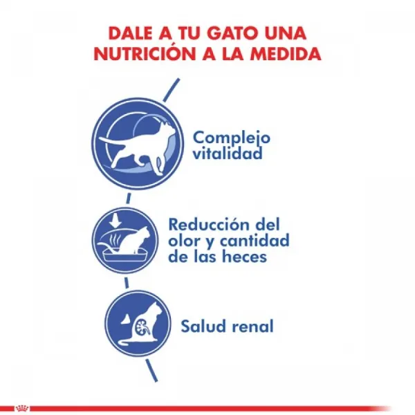 Online Royal Canin Alimento Seco Gato Adulto Indoor +7