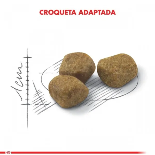 Online Royal Canin Alimento Seco Gato Adulto Indoor +7