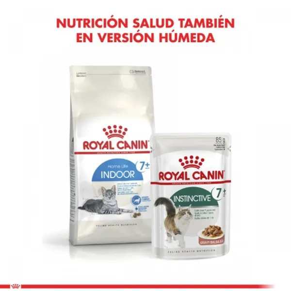 Online Royal Canin Alimento Seco Gato Adulto Indoor +7