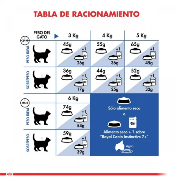 Online Royal Canin Alimento Seco Gato Adulto Indoor +7