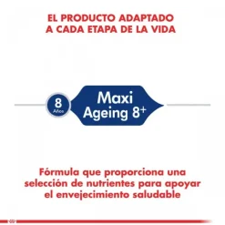 Best Royal Canin Alimento Seco Perro Adulto Maxi Ageing 8+