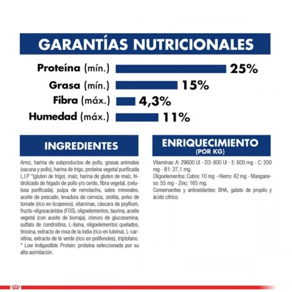 Best Royal Canin Alimento Seco Perro Adulto Maxi Ageing 8+