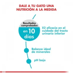 Sale Royal Canin Alimento Seco Gato Adulto Urinary Care