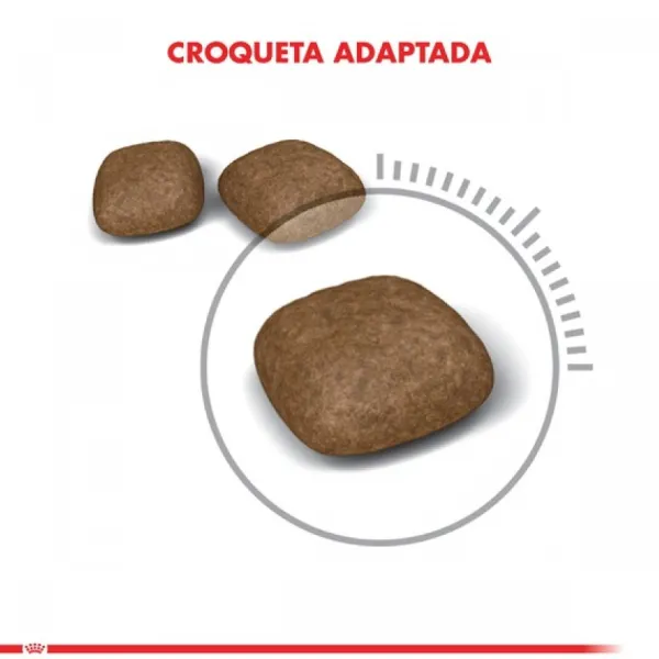 Sale Royal Canin Alimento Seco Gato Adulto Urinary Care