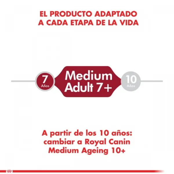 Outlet Royal Canin Alimento Seco Perro Adulto Medium Adult 7+
