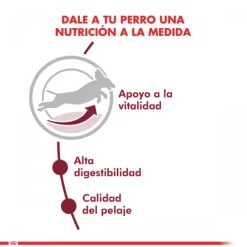 Outlet Royal Canin Alimento Seco Perro Adulto Medium Adult 7+