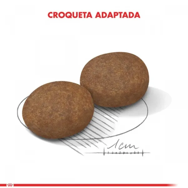 Outlet Royal Canin Alimento Seco Perro Adulto Medium Adult 7+