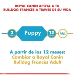 Outlet Royal Canin Cachorro Bulldog Frances Puppy Alimento Para Perro