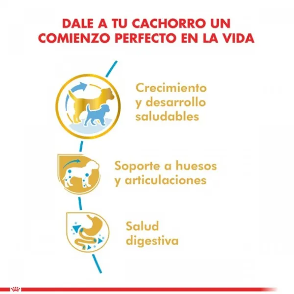 Discount Royal Canin Cachorro Dachshund Junior Alimento Para Perro