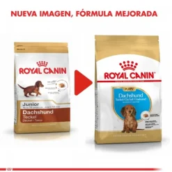 Discount Royal Canin Cachorro Dachshund Junior Alimento Para Perro