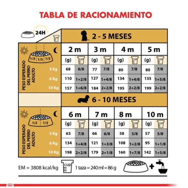 Discount Royal Canin Cachorro Dachshund Junior Alimento Para Perro
