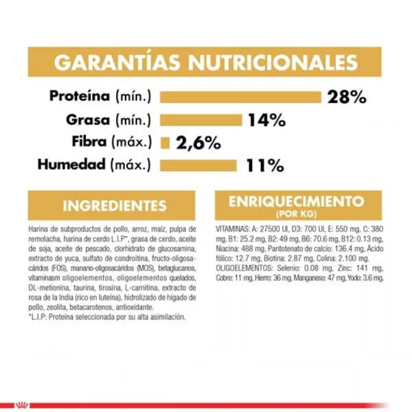 Discount Royal Canin Cachorro Dachshund Junior Alimento Para Perro