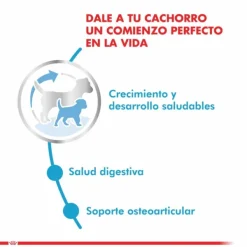 Clearance Royal Canin Cachorro Giant Puppy Alimento Para Perro