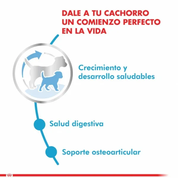 Clearance Royal Canin Cachorro Giant Puppy Alimento Para Perro