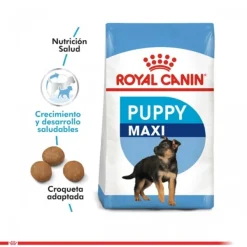 New Royal Canin Cachorro Maxi Puppy Alimento Para Perro