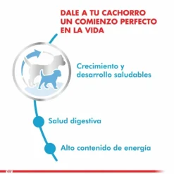 Discount Royal Canin Cachorro Mini Puppy Alimento Para Perro