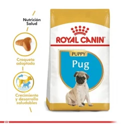 Sale Royal Canin Cachorro Pug Junior Alimento Para Perro