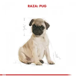 Sale Royal Canin Cachorro Pug Junior Alimento Para Perro