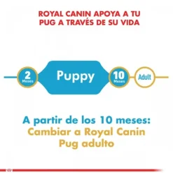 Sale Royal Canin Cachorro Pug Junior Alimento Para Perro