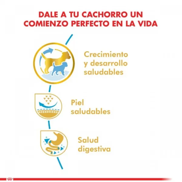 Sale Royal Canin Cachorro Pug Junior Alimento Para Perro