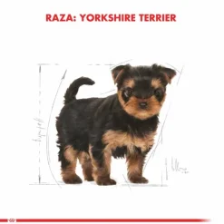 Discount Royal Canin Cachorro Yorkshire Terrier Junior Alimento Para Perro