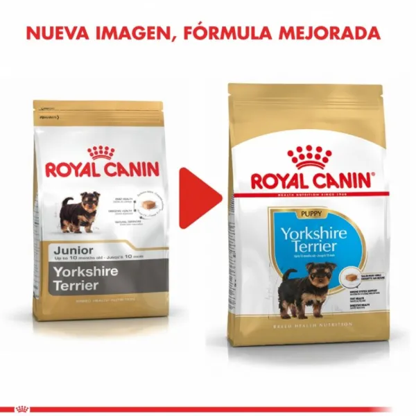 Discount Royal Canin Cachorro Yorkshire Terrier Junior Alimento Para Perro