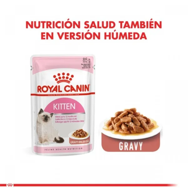 Best Royal Canin Gatito Felino Kitten Alimento Para Gato