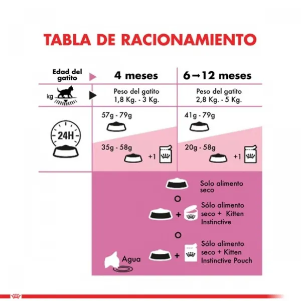 Best Royal Canin Gatito Felino Kitten Alimento Para Gato