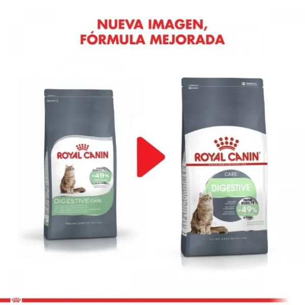 Best Royal Canin Adulto Digestive Care Alimento Para Gatos