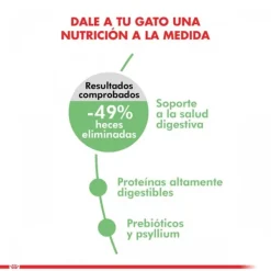 Best Royal Canin Adulto Digestive Care Alimento Para Gatos