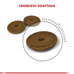 Best Royal Canin Adulto Digestive Care Alimento Para Gatos