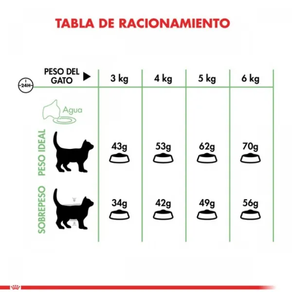 Best Royal Canin Adulto Digestive Care Alimento Para Gatos