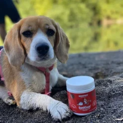 Clearance Sunipet Sunicoat - Suplemento Piel Y Pelaje De Perros Y Gatos