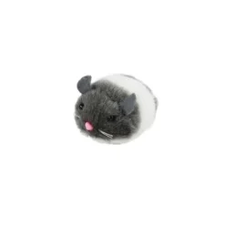 New The Cat Band El Rat N Movedizo