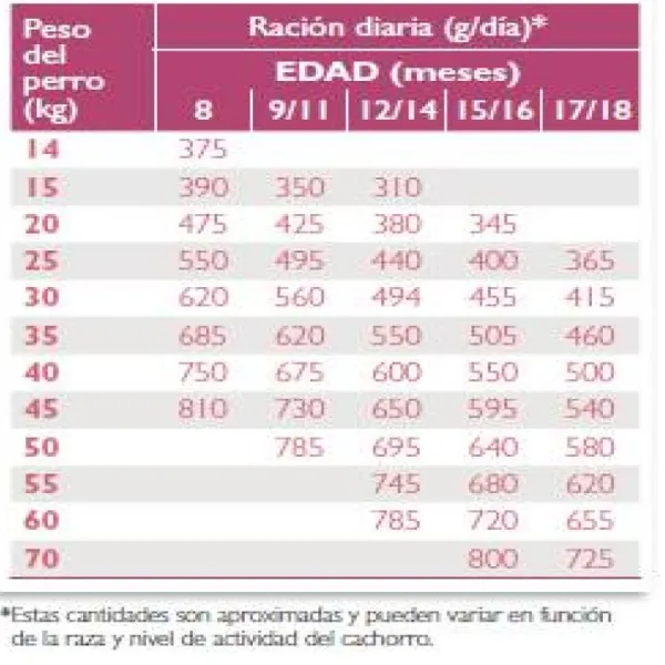 Clearance Virbac HPM Virbac Alimento Junior Special Large