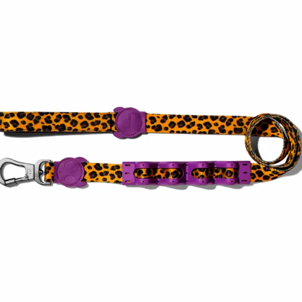 Discount Zeedog Ruff Correa Honey